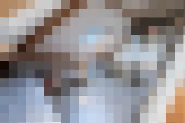 Lange Voren 33 Barneveld thumbnail 44