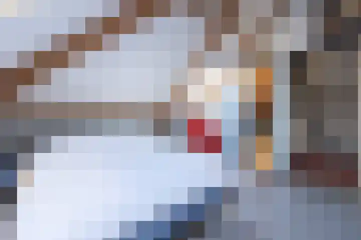 Lange Voren 33 Barneveld thumbnail 46