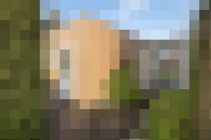 Lange Voren 33 Barneveld thumbnail 57