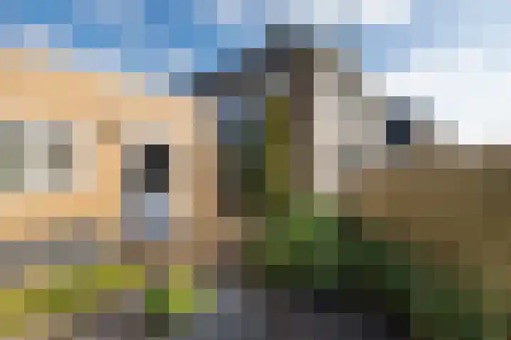 Lange Voren 33 Barneveld thumbnail 59