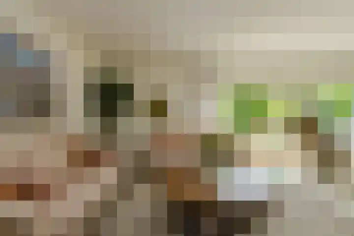 Lange Voren 7 Oosterhout thumbnail 14