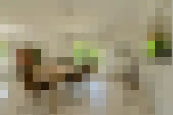 Lange Voren 7 Oosterhout thumbnail 18