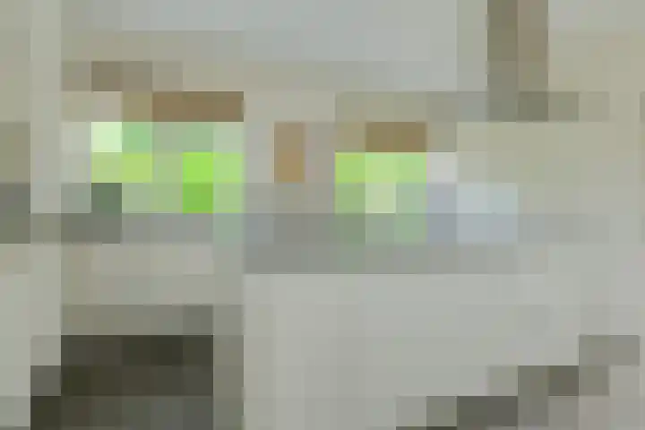 Lange Voren 7 Oosterhout thumbnail 20