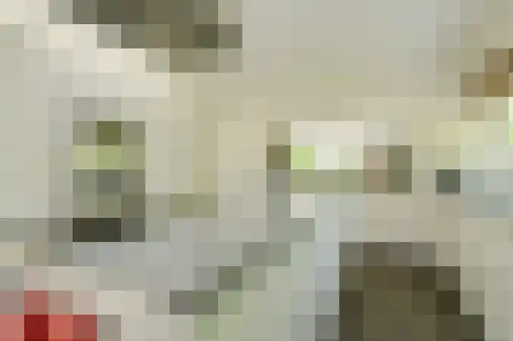 Lange Voren 7 Oosterhout thumbnail 22