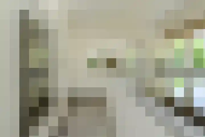 Lange Voren 7 Oosterhout thumbnail 23