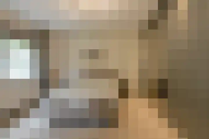 Lange Voren 7 Oosterhout thumbnail 28