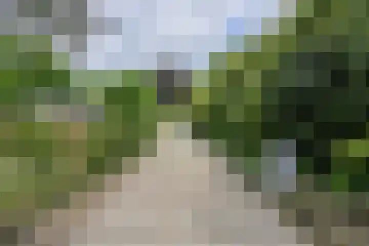 Lange Voren 7 Oosterhout foto 3