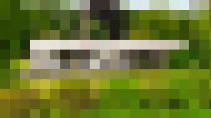 Lange Voren 7 Oosterhout thumbnail 38