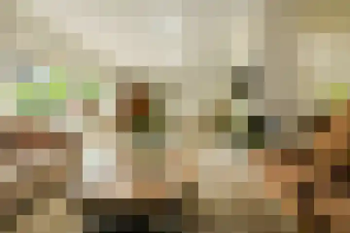 Lange Voren 7 Oosterhout thumbnail 4