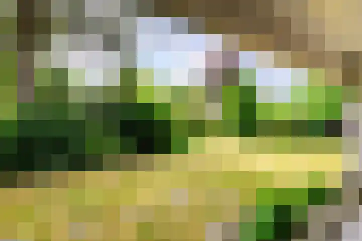 Lange Voren 7 Oosterhout thumbnail 40