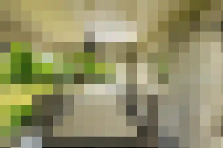Lange Voren 7 Oosterhout thumbnail 41