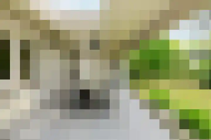 Lange Voren 7 Oosterhout thumbnail 42