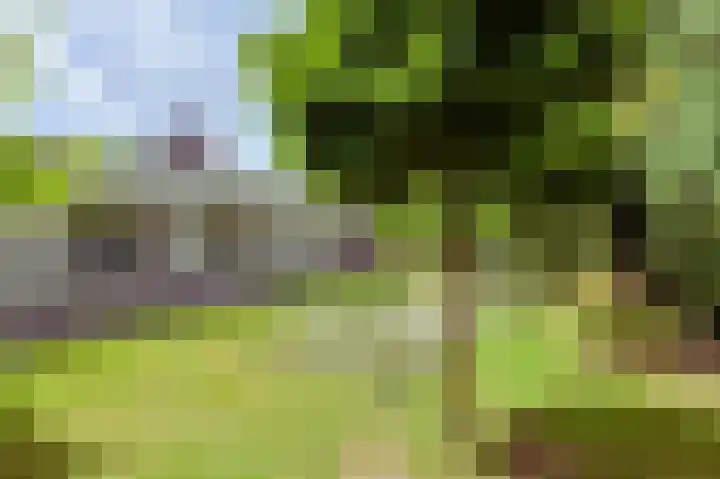 Lange Voren 7 Oosterhout thumbnail 45