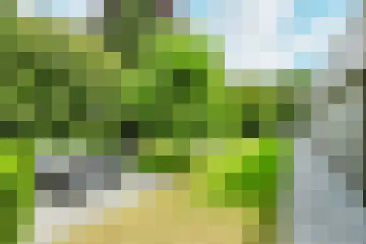 Lange Voren 7 Oosterhout thumbnail 46