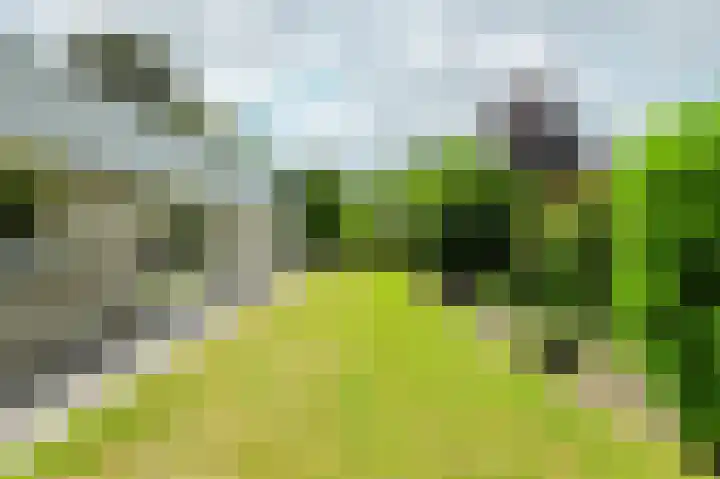 Lange Voren 7 Oosterhout thumbnail 47