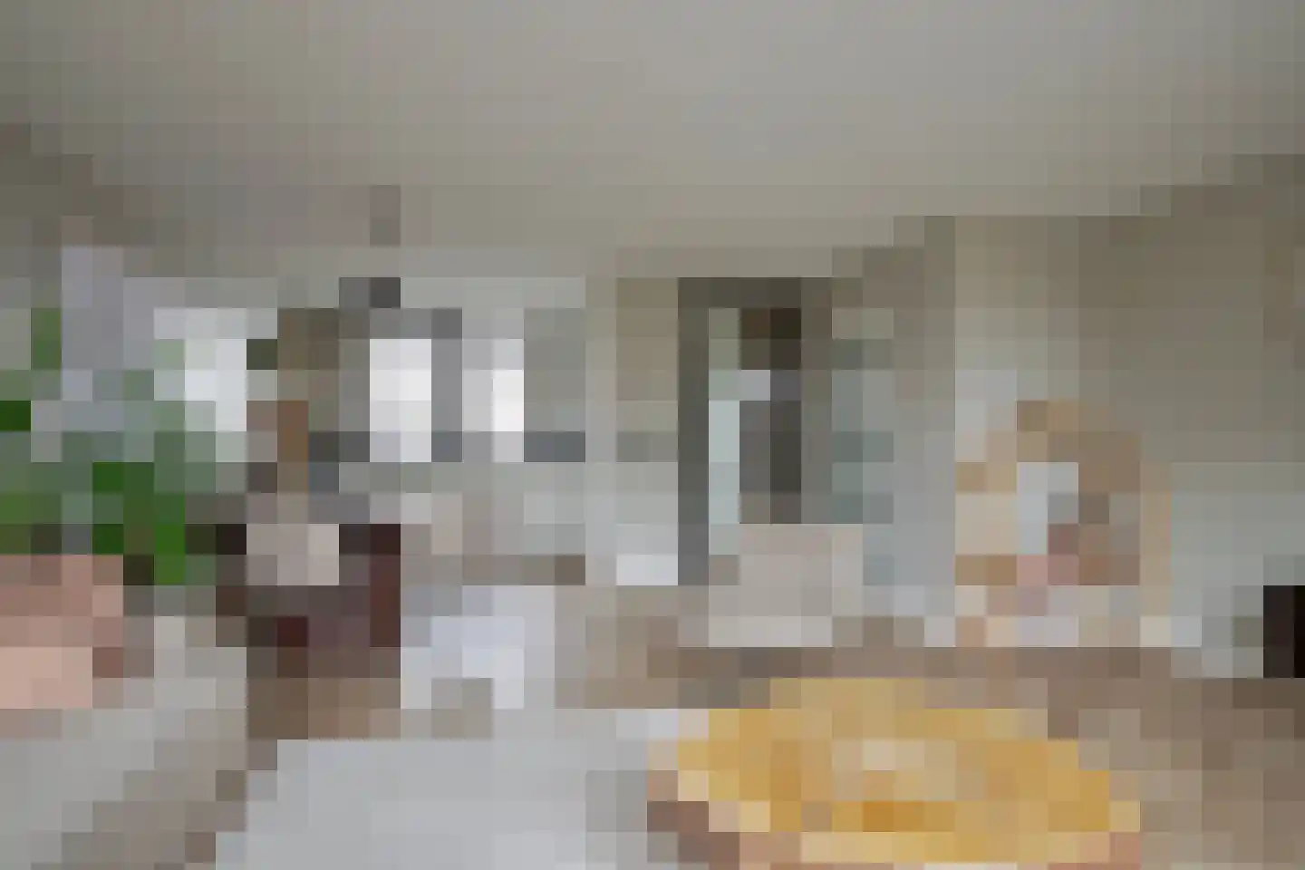 Lange Voren 74 Barneveld thumbnail 10