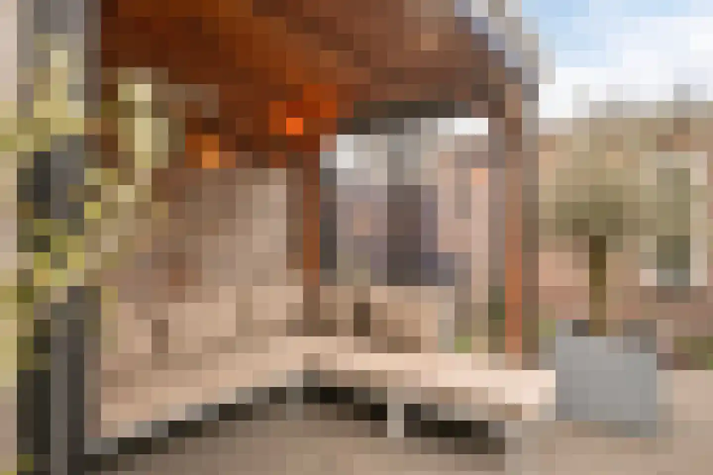 Lange Voren 74 Barneveld thumbnail 34