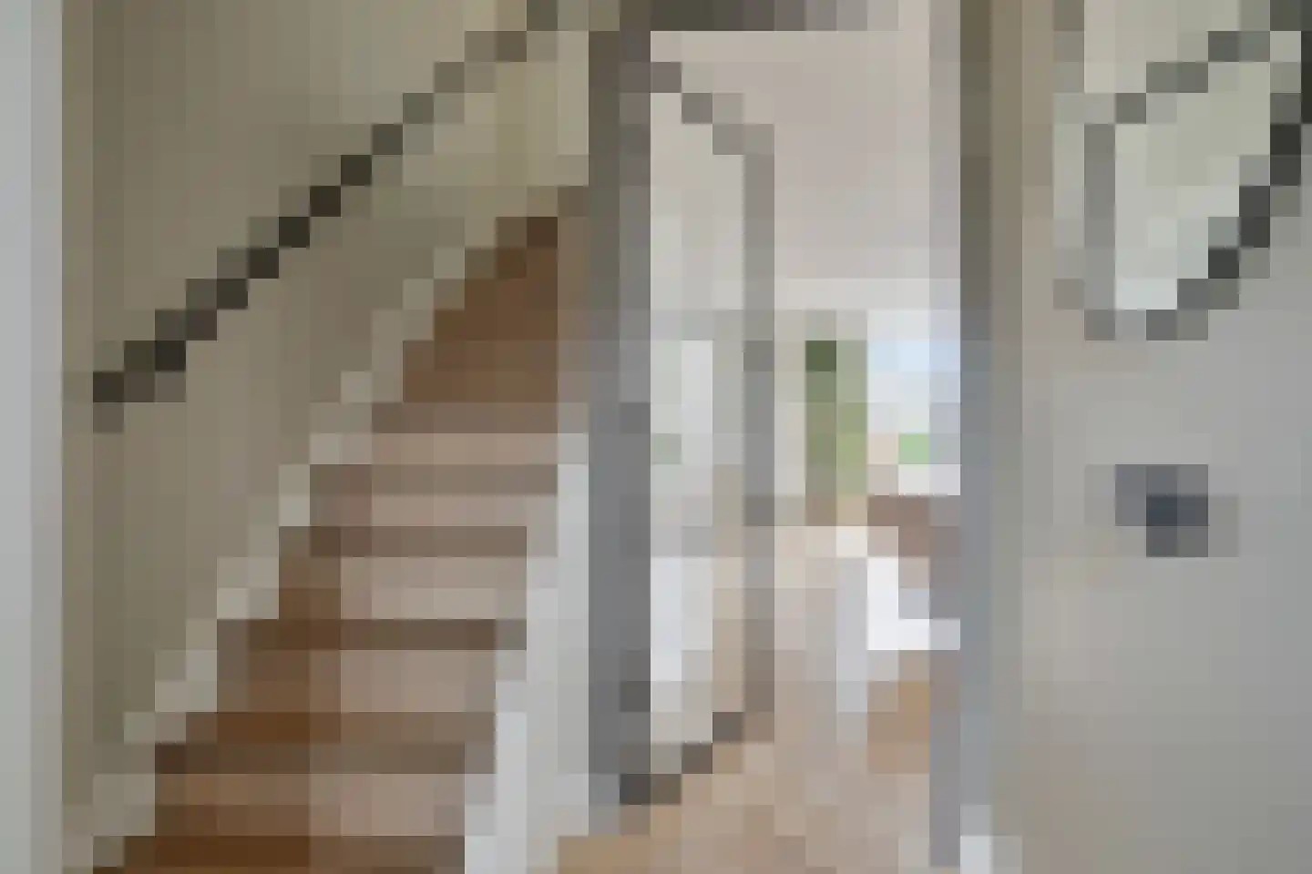 Lange Voren 74 Barneveld thumbnail 6