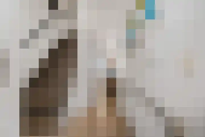 Lange Voren 77 Barneveld thumbnail 11