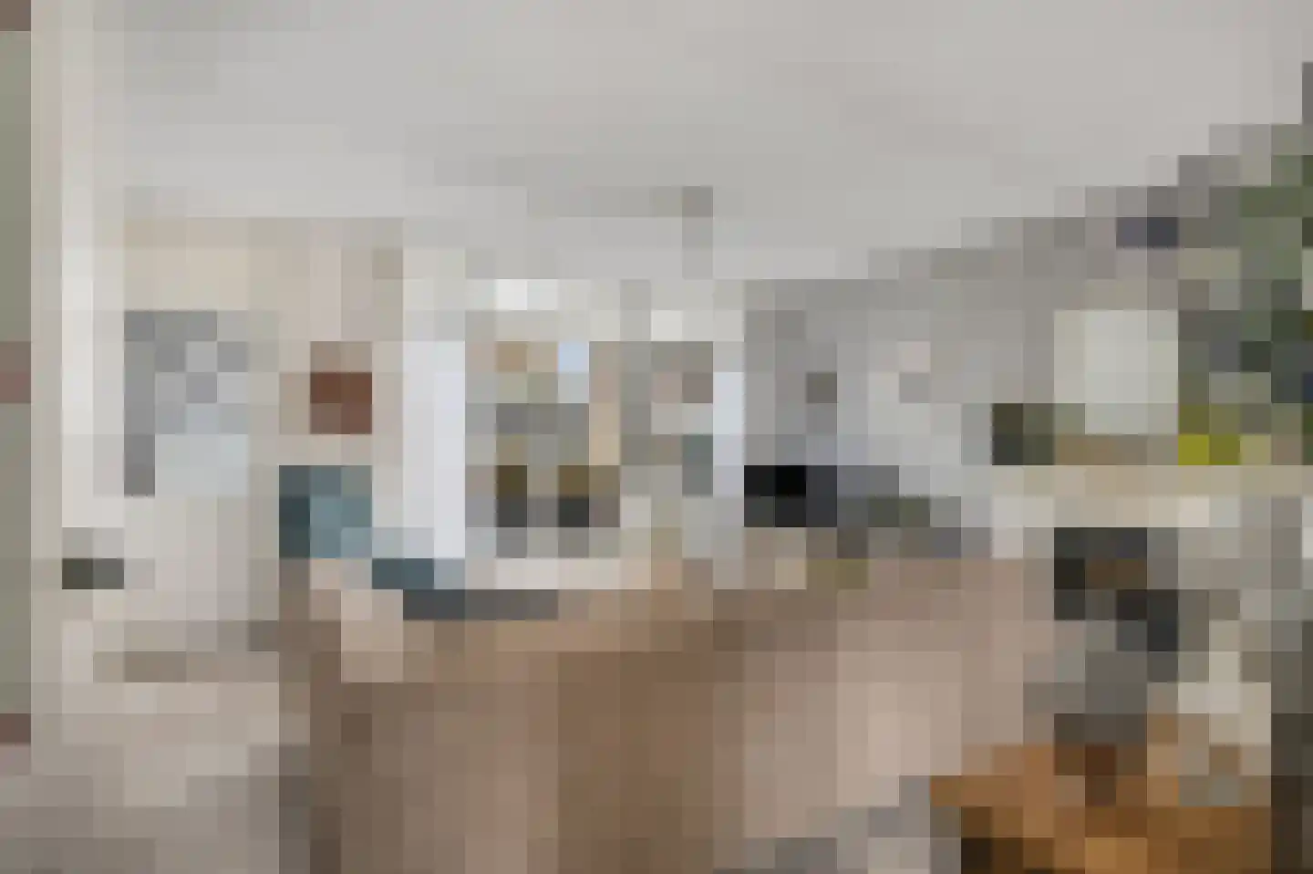Lange Voren 77 Barneveld thumbnail 12