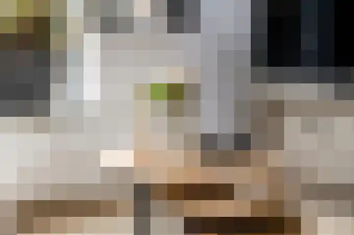 Lange Voren 77 Barneveld thumbnail 14