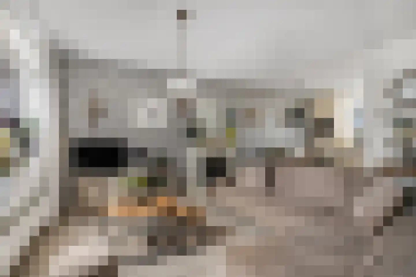 Lange Voren 77 Barneveld thumbnail 15