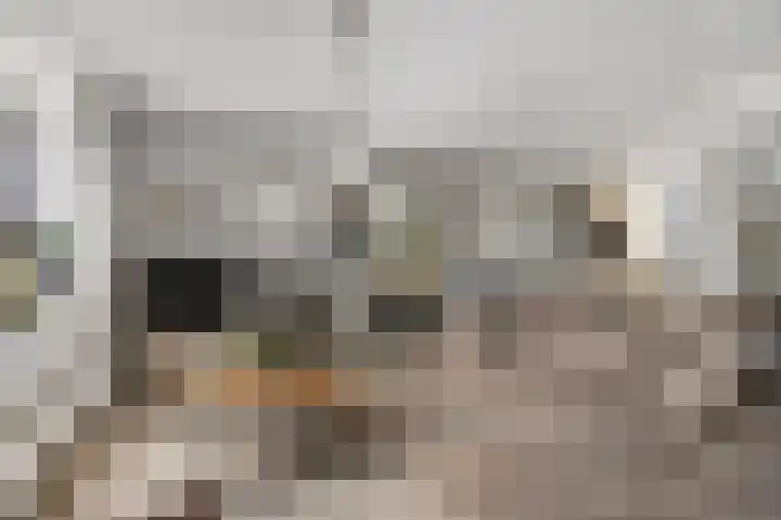 Lange Voren 77 Barneveld thumbnail 15