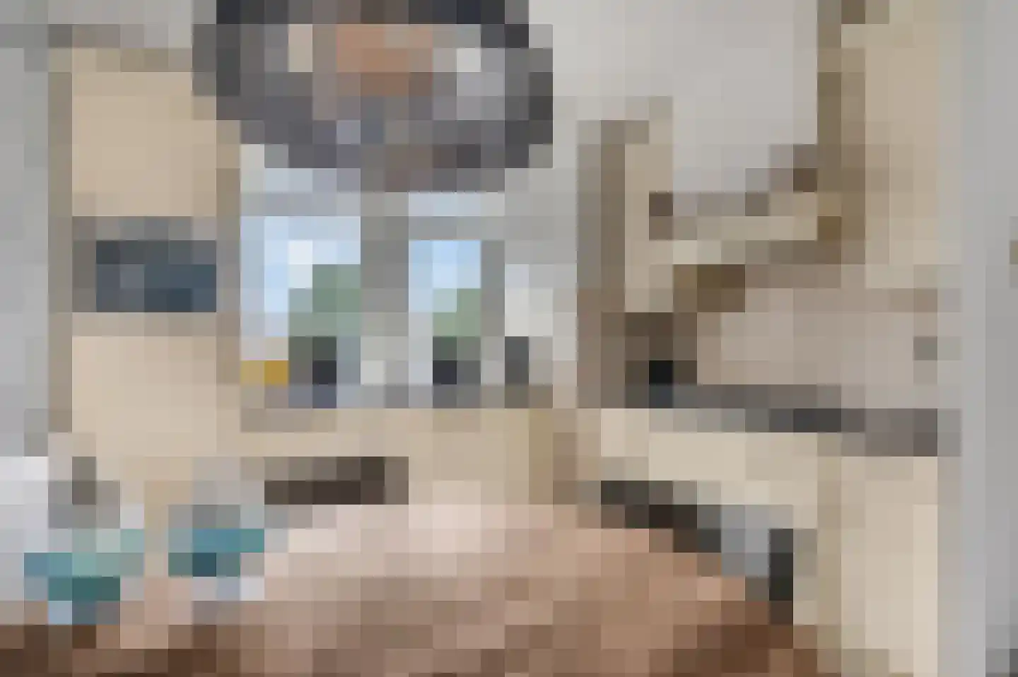 Lange Voren 77 Barneveld thumbnail 19