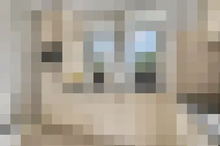 Lange Voren 77 Barneveld thumbnail 21