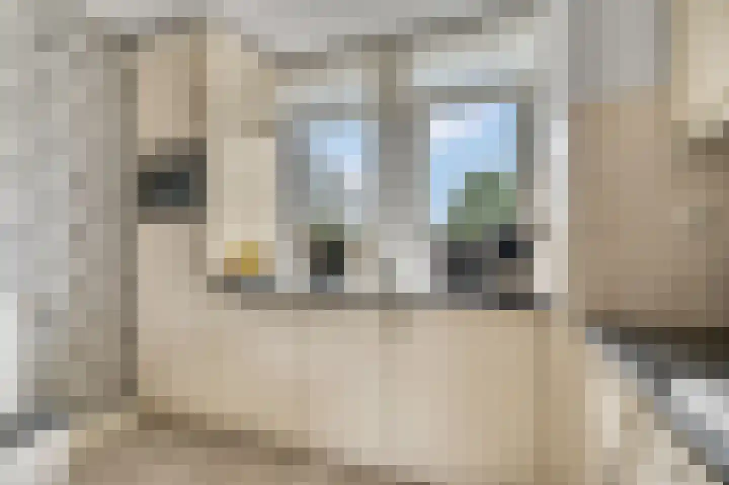 Lange Voren 77 Barneveld thumbnail 21
