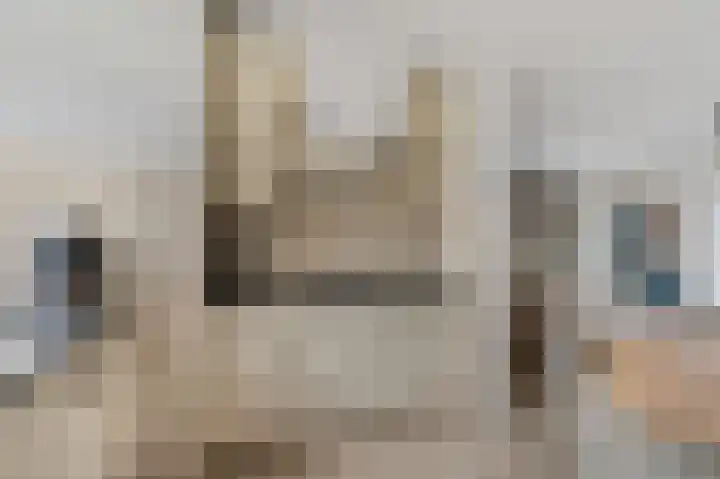 Lange Voren 77 Barneveld thumbnail 22