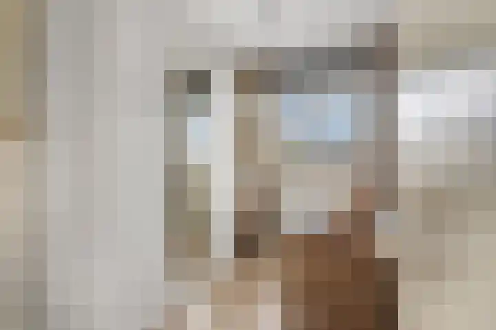 Lange Voren 77 Barneveld thumbnail 28
