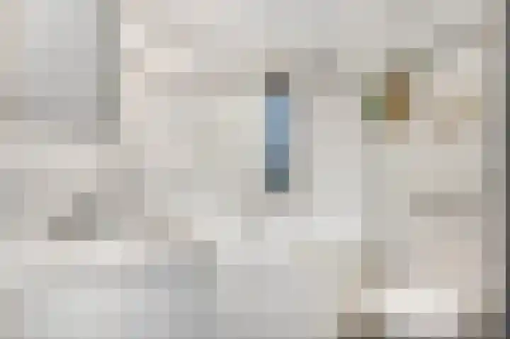 Lange Voren 77 Barneveld thumbnail 30