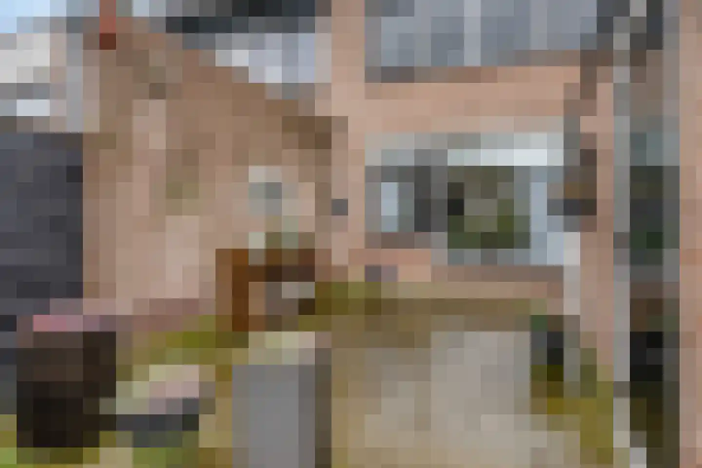 Lange Voren 77 Barneveld thumbnail 40