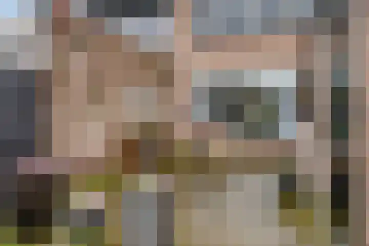 Lange Voren 77 Barneveld thumbnail 40