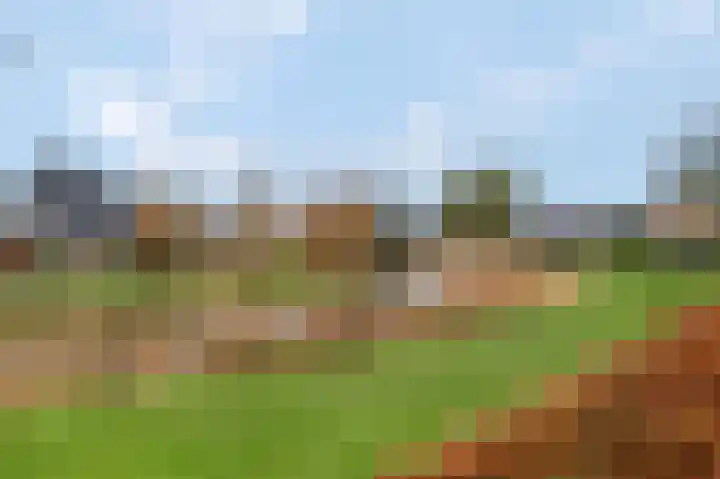 Lange Voren 77 Barneveld thumbnail 45
