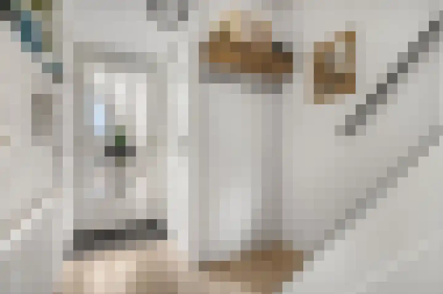 Lange Voren 77 Barneveld thumbnail 9
