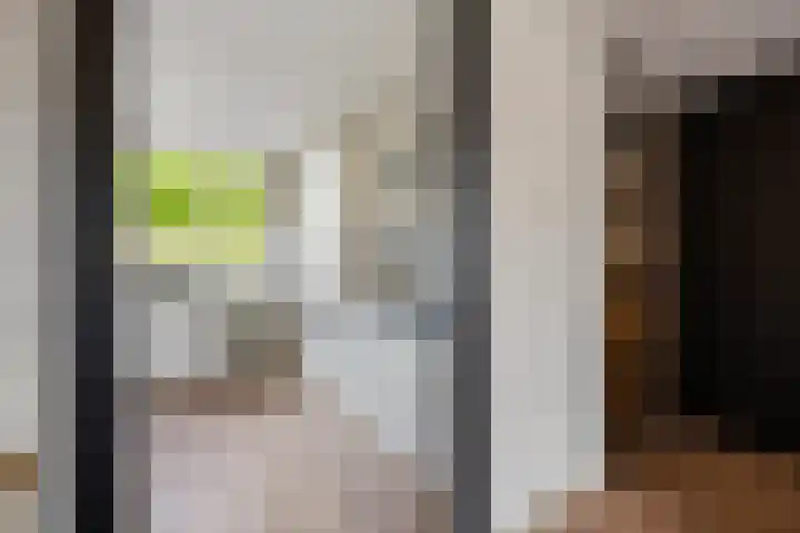 Lange Voren 97 Barneveld thumbnail 15