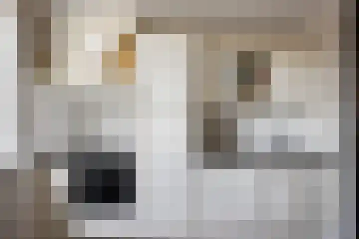 Lange Voren 97 Barneveld thumbnail 16