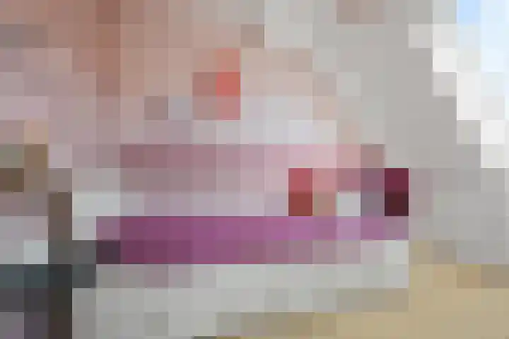 Lange Voren 97 Barneveld thumbnail 26