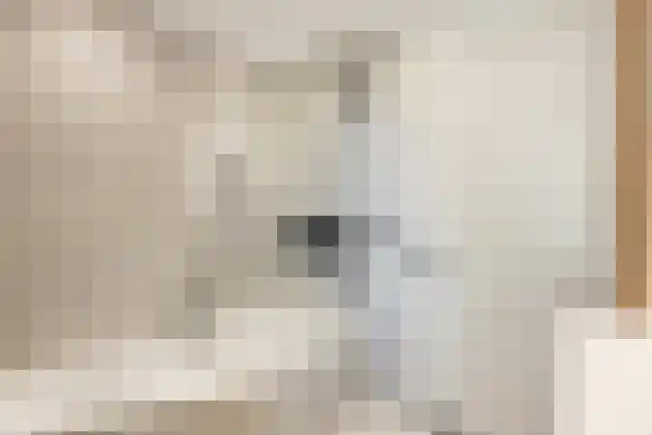 Lange Voren 97 Barneveld thumbnail 31