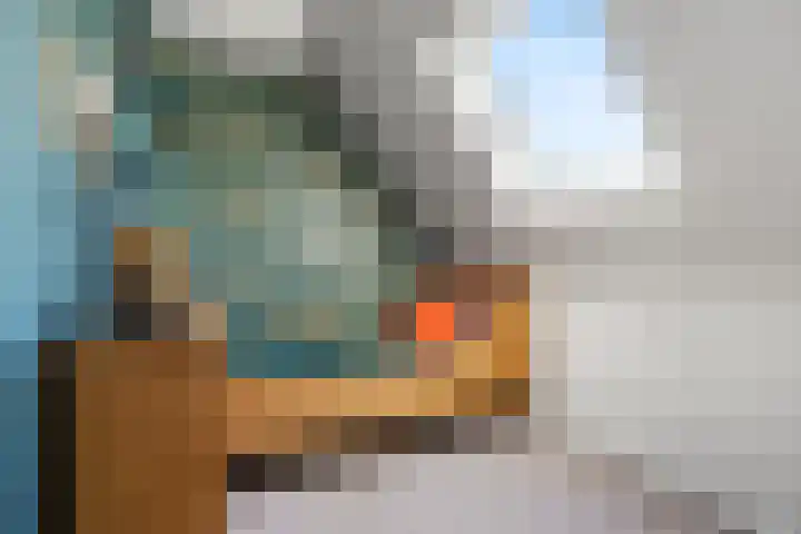 Lange Voren 97 Barneveld thumbnail 34