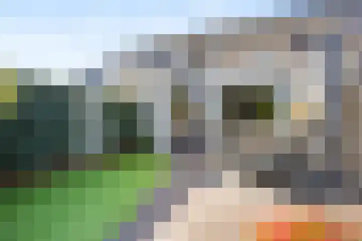Lange Voren 97 Barneveld thumbnail 38