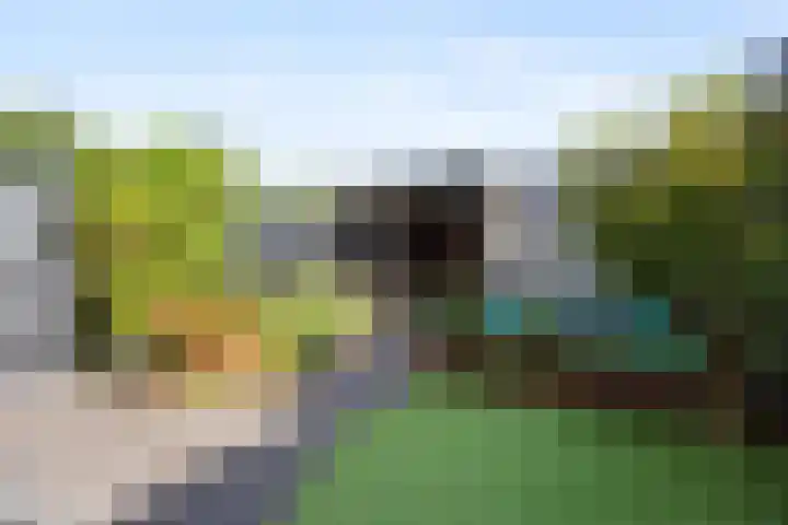 Lange Voren 97 Barneveld thumbnail 39