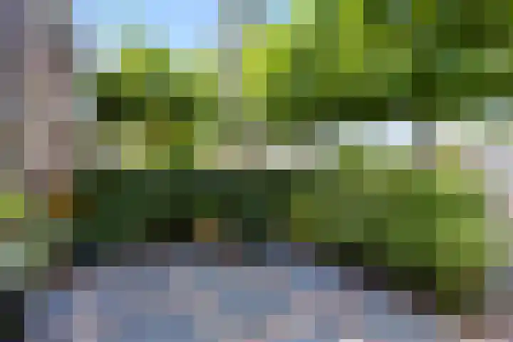 Lange Voren 97 Barneveld thumbnail 4