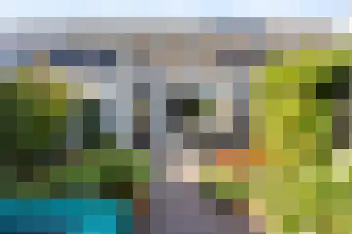 Lange Voren 97 Barneveld thumbnail 43