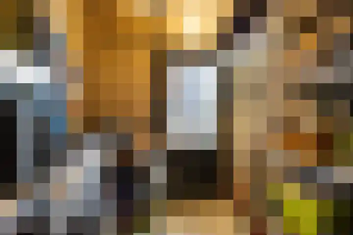 Lange Voren 97 Barneveld thumbnail 45