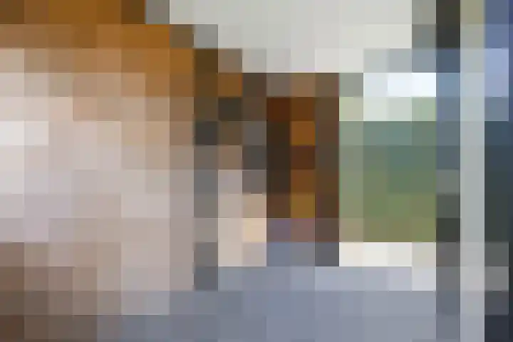 Lange Voren 97 Barneveld thumbnail 47