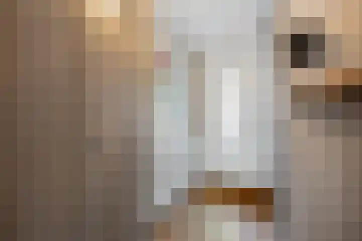 Lange Voren 97 Barneveld thumbnail 5