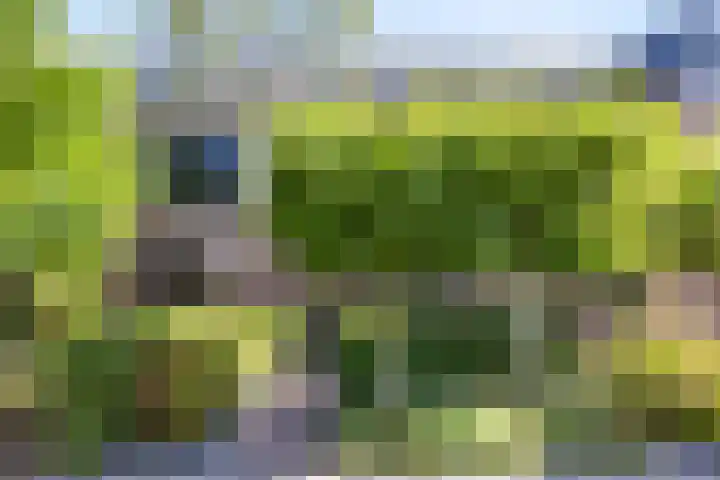 Lange Voren 97 Barneveld thumbnail 50